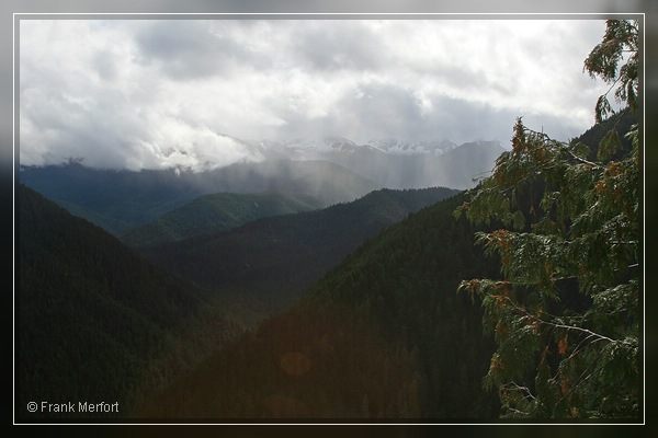 Olympic Mountains
