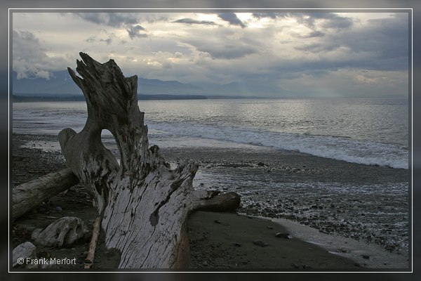 Dungeness Bay
