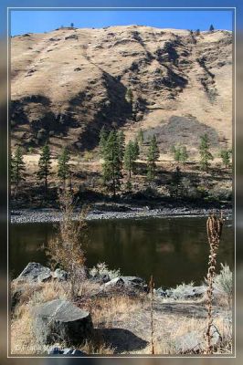 Salmon River - Idaho
