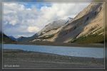 Columbia Icefield - Jasper Nationalpark