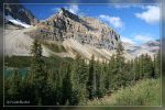 Crowfoot Glacier - Banff Nationalpark