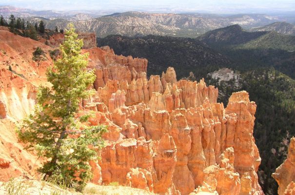Bryce Canyon
Farbenspiel der Natur
