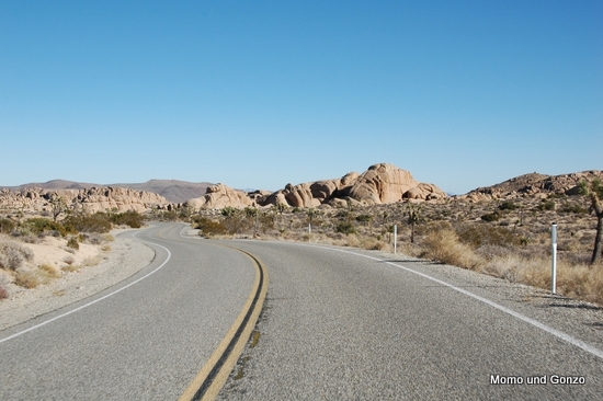 Joshua Tree NP
