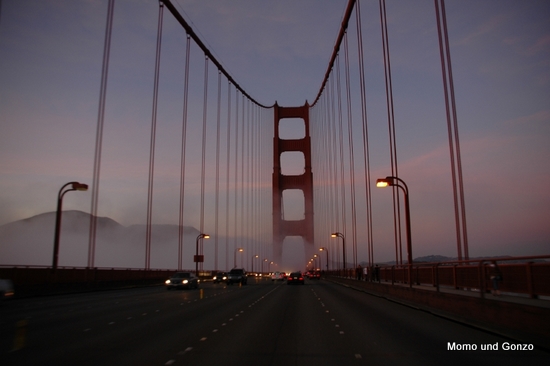 Golden Gate im Nebel
