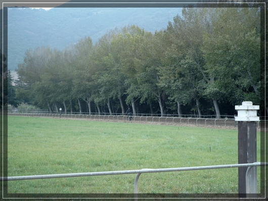 Pferderennbahn bei Monty Roberts
