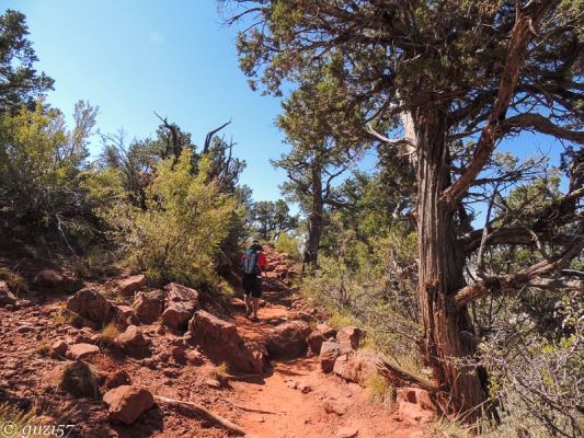 East Mesa Trail
