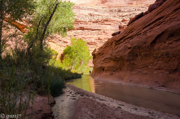 Coyote Gulch
