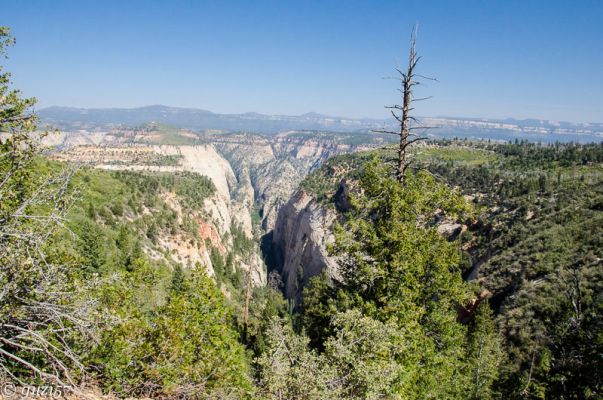 Blick vom East Mesa Trail 
