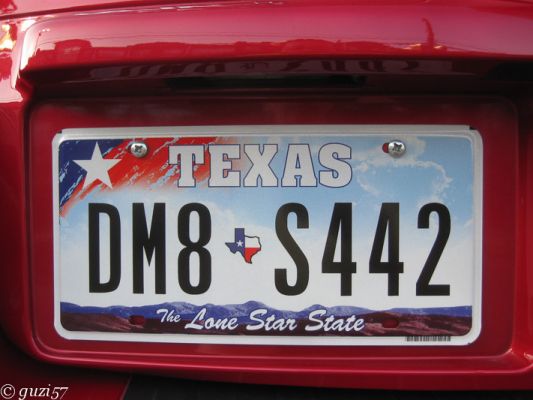 Texas License Plate
