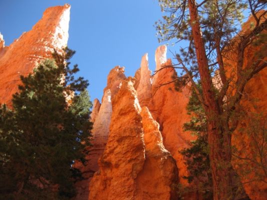 Bryce Canyon
