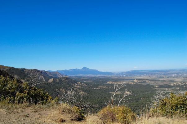 Mesa Verde
