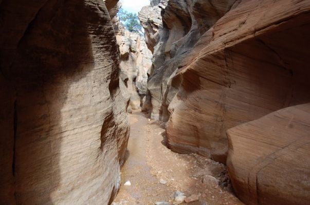 Narrows Willis Creek
