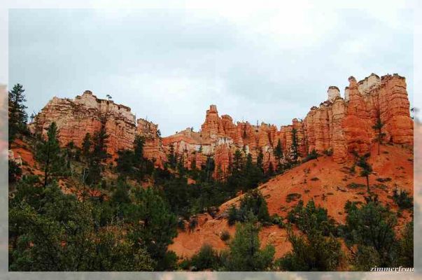 Mossy Cave Utah
