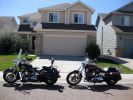 Harleys in Fort Collins