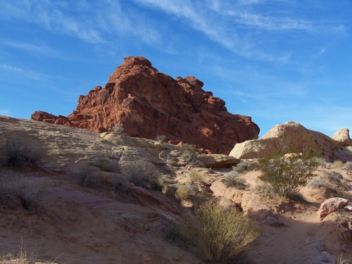 White Domes Trail
nach dem Slot Canyon
