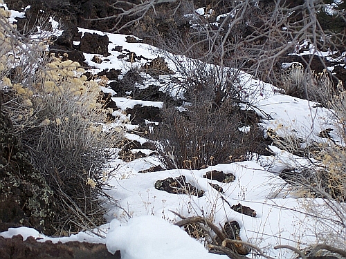 Sunset Crater Volcano NM
