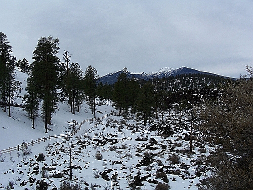 Sunset Crater Volcano NM
