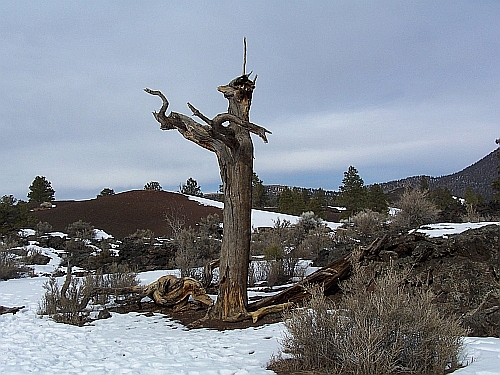 Sunset Crater Volcano NM
