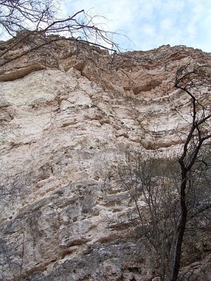 Montezuma Castle
