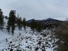 Sunset Crater Volcano NM