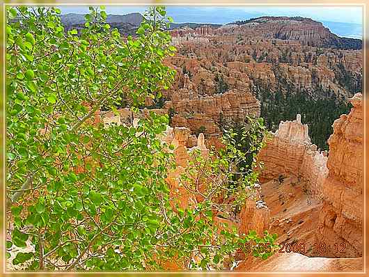 Frühling im Bryce
