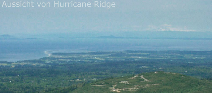 Hurricane Ridge
