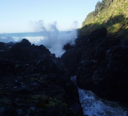 Devil's Churn
Eine Welle rauscht durch die enge Klamm von Devil's Churn.
Schlüsselwörter: Oregon, Coast, Cape Perpetua, Devil's Churn