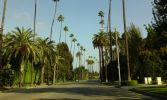 L.A. Beverly Hills