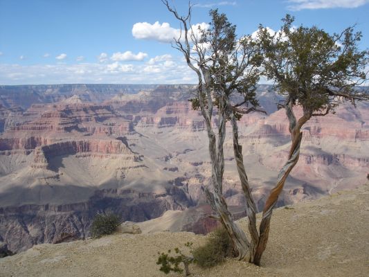 Blick vom Maricopa Point
Grand Canyon NP
Schlüsselwörter: Amerika USA Grand Canyon Maricopa Point Arizona Nationalpark