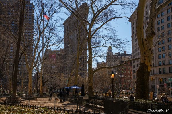 Dogrun Flatiron
