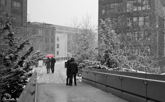 Highline Park Roter Regenschirm
