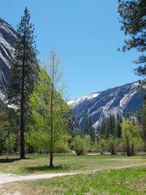 Yosemite2_10.jpg