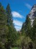 Yosemite2_6.jpg