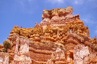 Bryce Canyon
Sandstein-Felsen entlang des Queens Garden Trails im Bryce Canyon.
Schlüsselwörter: Bryce Canyon