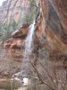 Lower Emerald Pools Zion N.P.