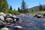 Sierra Nevada - River-Wettbewerb.jpg