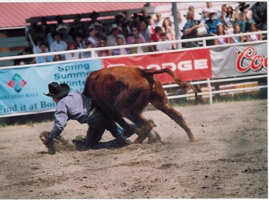 Steer Wrestling 2.jpg