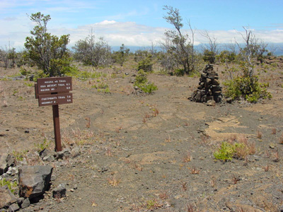 Mauna Iki Trail
