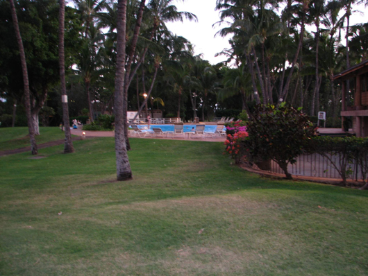 Maui Lu Hotel, Kihei
Gartenanlage mit Pool
