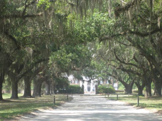 Boone Hall
