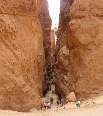 Bryce Canyon Navajo Loop Trail
