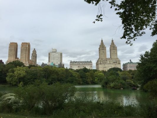 New York Central Park
