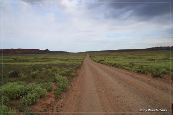 Salt Valley Road
