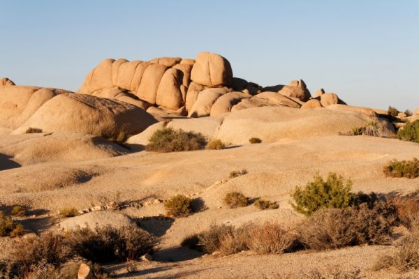 IMG_2452_DxO_raw_Joshua_Tree_NP_Skull_Rock_Trail_Forum.jpg