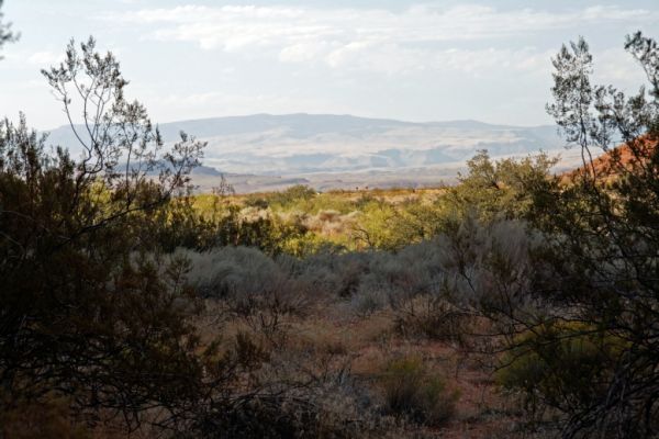 IMG_2721_DxO_raw_Snow_Canyon_Jenny_Canyon_Trail_Forum.jpg