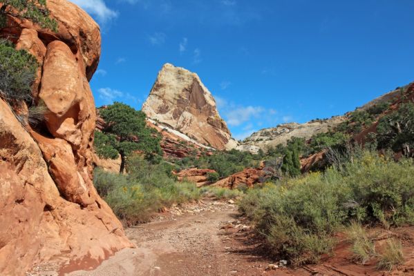 15 Upper Muley Twist Canyon
