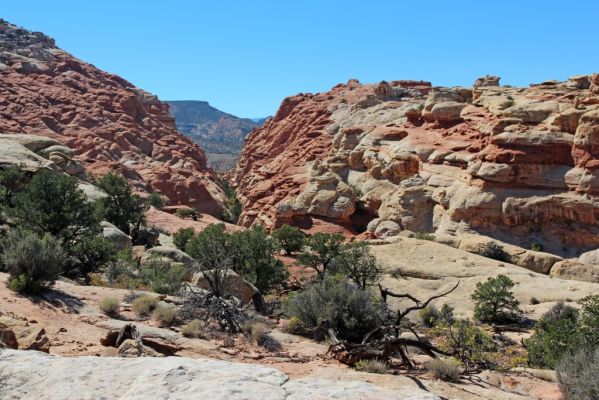 28 Capitol Reef
