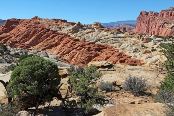 31 Capitol Reef
