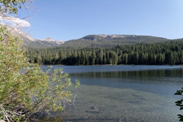 Lake Manzanita
