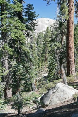 Sentinel Dome
